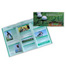 Sugola_Print_Aldiana_Glof